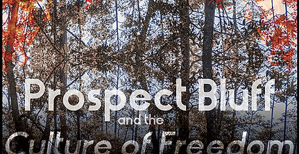 Prospect Bluff: Culture of Freedom II